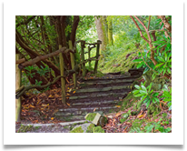 Mystery Path - David Beech
